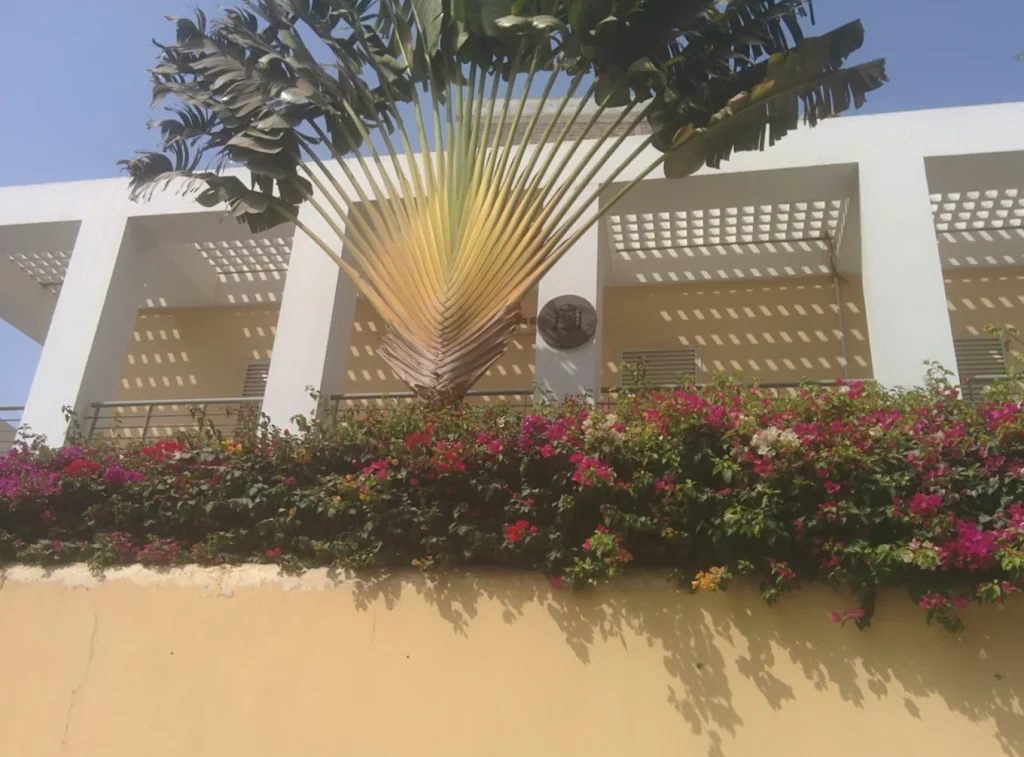 d&rsquo;Espagne au Senegal